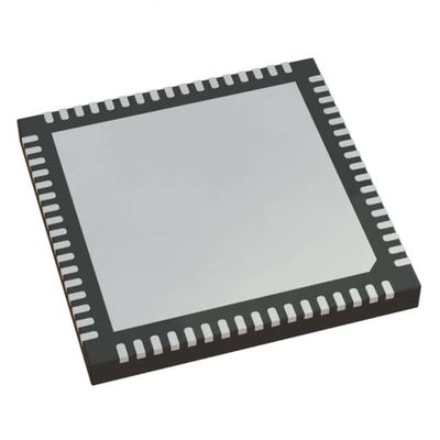 Demodülatör için Analog Dijital Video İşleme Chipi SI21602-B50-GMR
